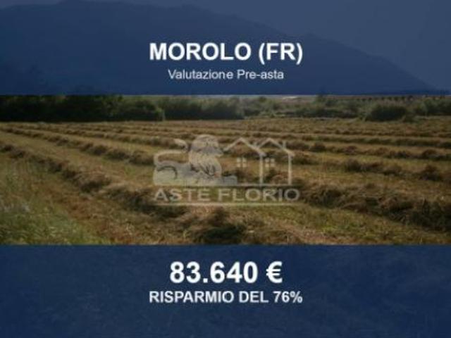 Immobile in asta di 11590 m in vendita a Morolo