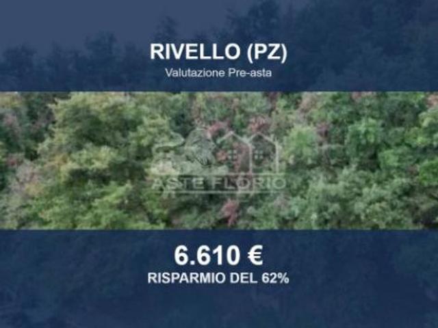 Immobile in asta di 11618 m in vendita a Rivello