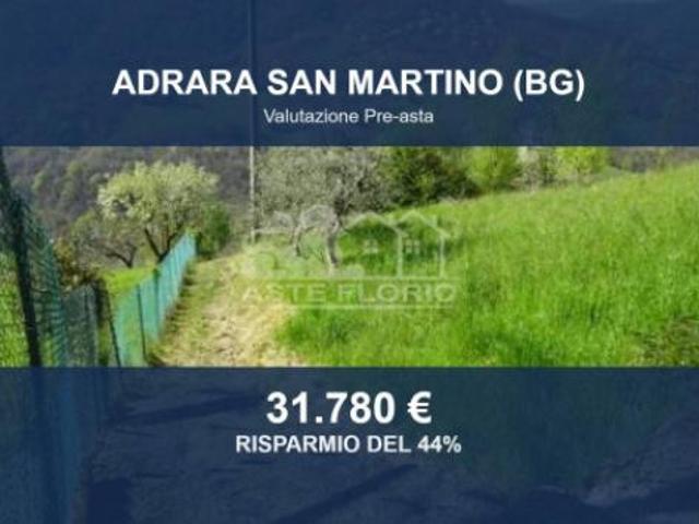 Immobile in asta di 11730 m in vendita a Adrara San Martino