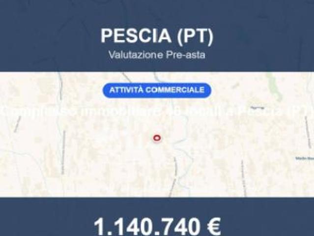 Immobile in asta di 1182 m con più di 5 locali in vendita a Pescia