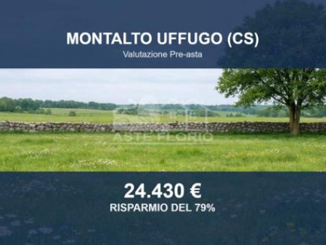 Immobile in asta di 11890 m in vendita a Montalto Uffugo