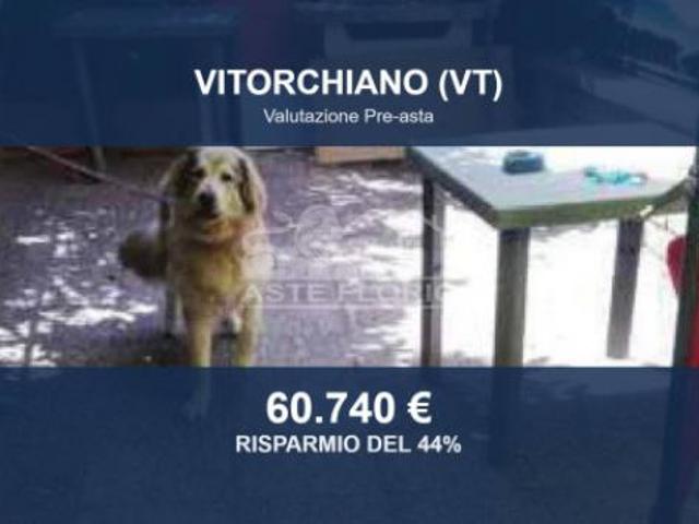 Immobile in asta di 123 m in vendita a Vitorchiano