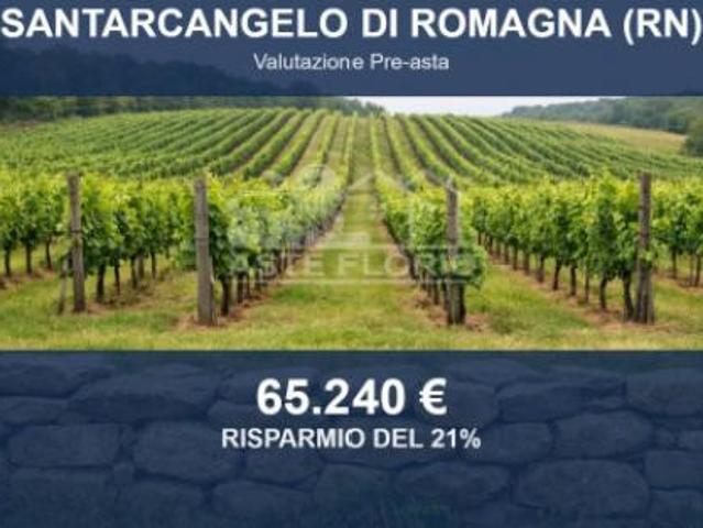 Immobile in asta di 12082 m in vendita a Santarcangelo di Romagna
