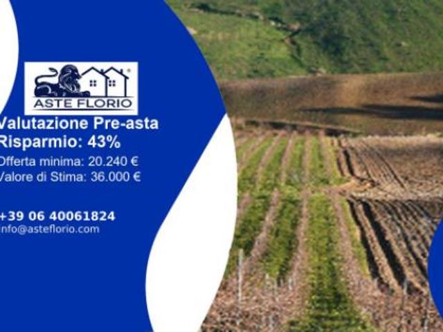 Immobile in asta di 12100 m in vendita a Buseto Palizzolo