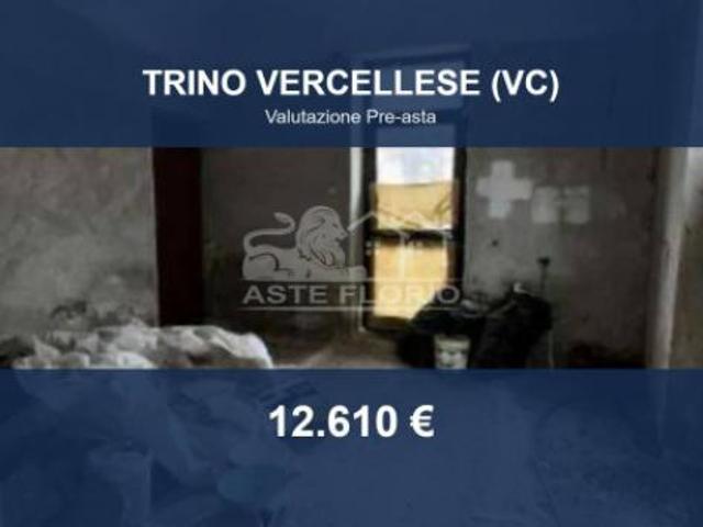 Immobile in asta di 121 m, box auto in vendita a Trino