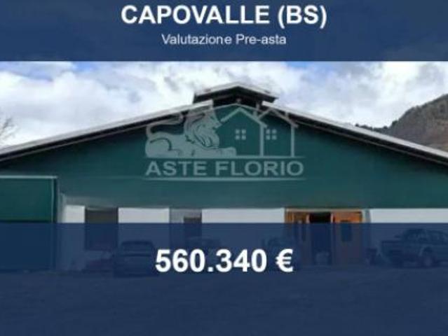 Immobile in asta di 12206 m in vendita a Capovalle