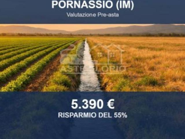 Immobile in asta di 1225 m in vendita a Pornassio