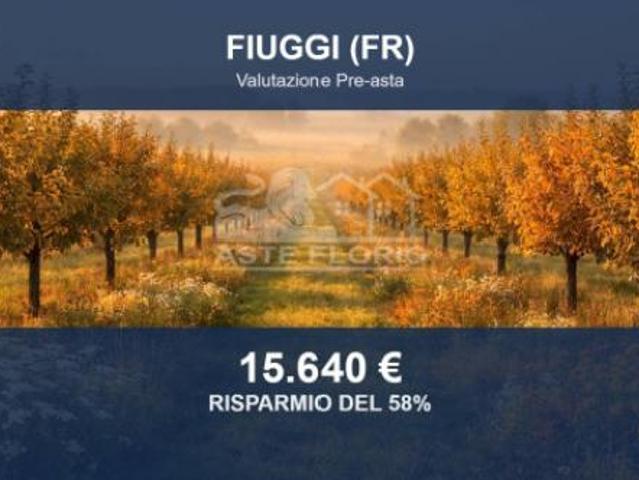 Immobile in asta di 12360 m in vendita a Fiuggi