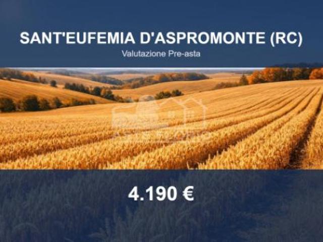 Immobile in asta di 12360 m in vendita a Sant'Eufemia d'Aspromonte