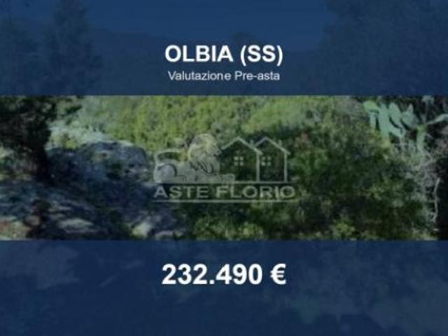 Immobile in asta di 12390 m in vendita a Olbia