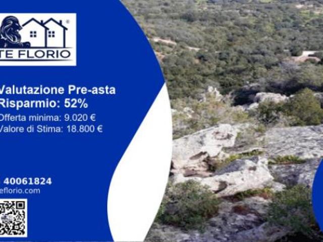 Immobile in asta di 12561 m in vendita a Arzachena
