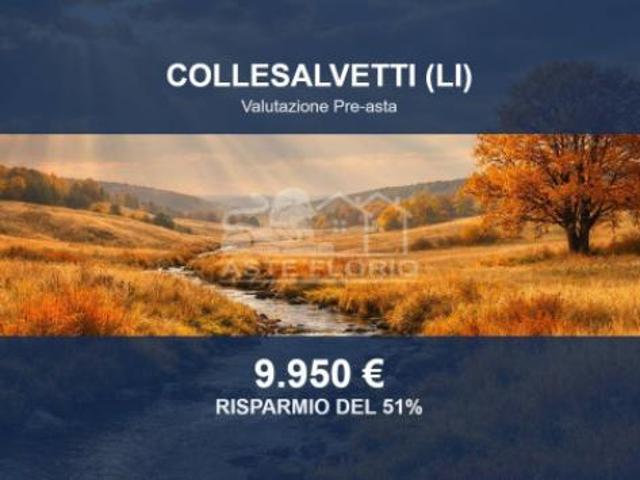 Immobile in asta di 12660 m in vendita a Collesalvetti