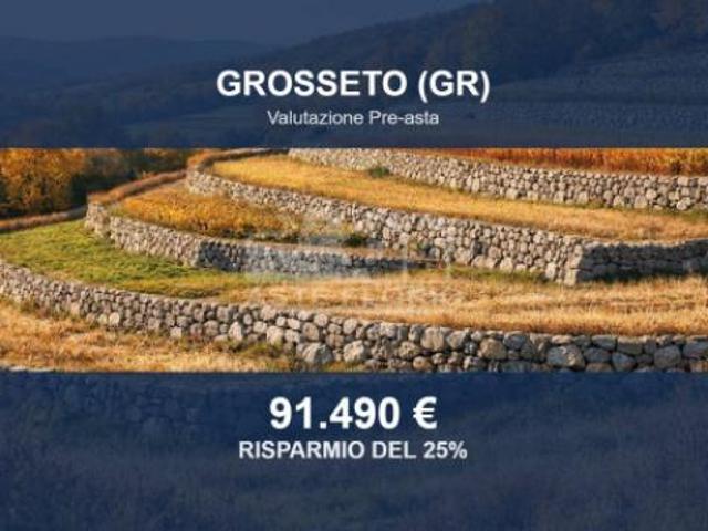 Immobile in asta di 126985 m in vendita a Grosseto