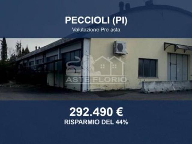Immobile in asta di 1301 m in vendita a Peccioli