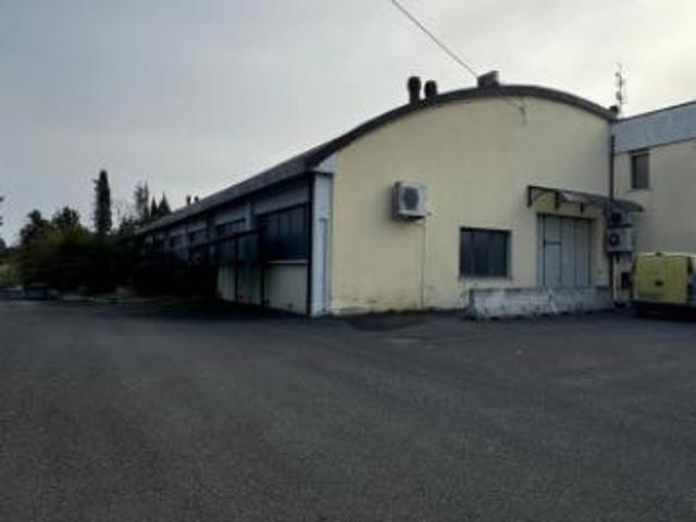 Immobile in asta di 1301 m in vendita a Peccioli