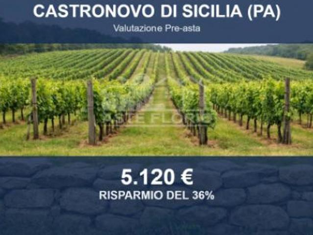Immobile in asta di 13172 m in vendita a Castronovo di Sicilia