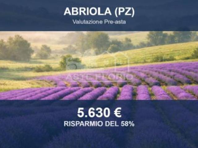 Immobile in asta di 13347 m in vendita a Abriola