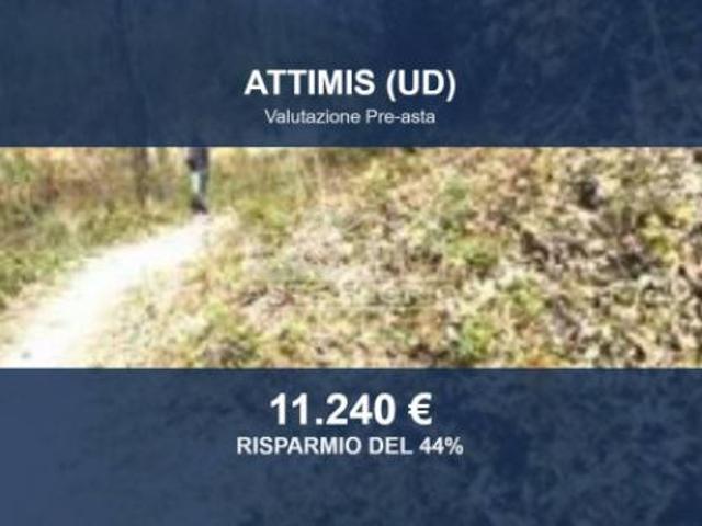 Immobile in asta di 133870 m in vendita a Nimis