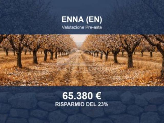 Immobile in asta di 13600 m in vendita a Enna