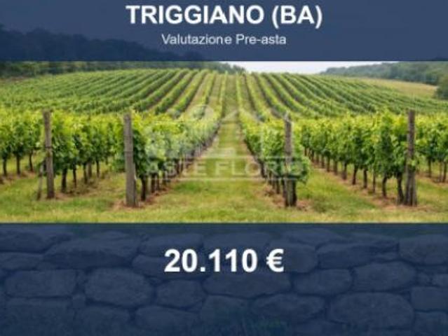 Immobile in asta di 13710 m in vendita a Triggiano