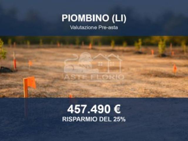 Immobile in asta di 24166 m in vendita a Piombino