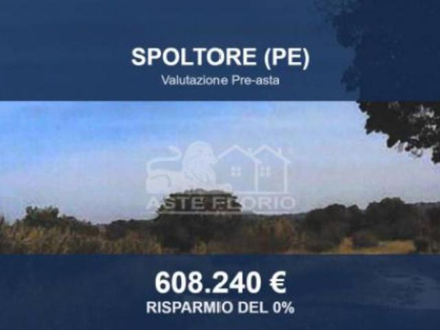 Immobile in asta di 24382 m in vendita a Spoltore