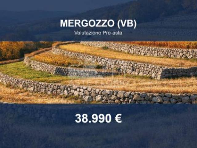 Immobile in asta di 24469 m in vendita a Mergozzo