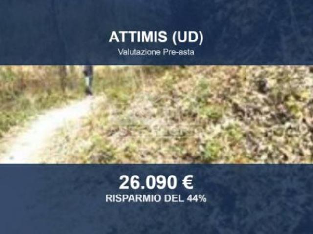 Immobile in asta di 244890 m in vendita a Attimis