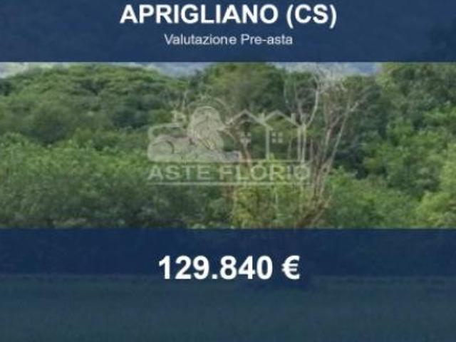 Immobile in asta di 244 m in vendita a Aprigliano