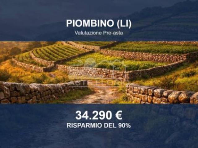 Immobile in asta di 2500 m in vendita a Piombino