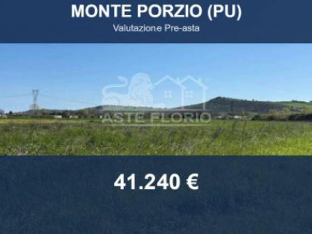 Immobile in asta di 25212 m in vendita a Monte Porzio