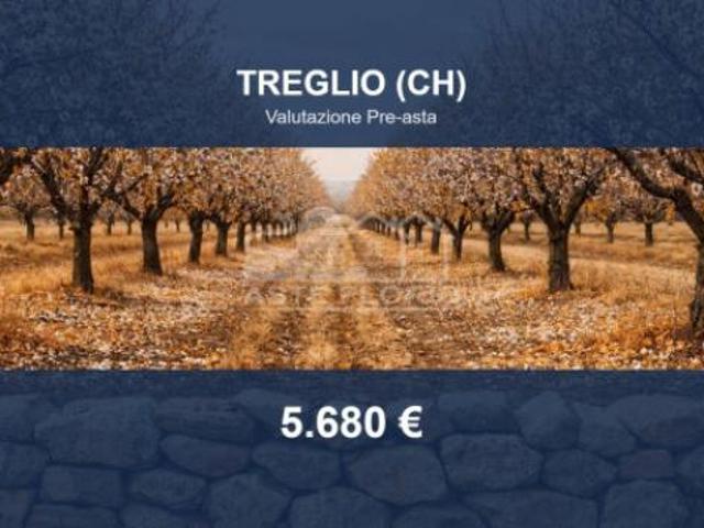 Immobile in asta di 2525 m in vendita a Treglio