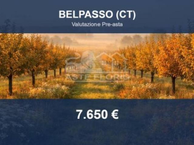 Immobile in asta di 2550 m in vendita a Belpasso