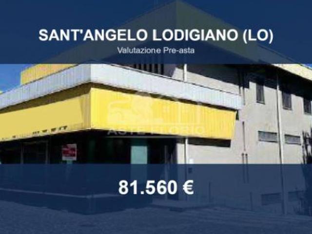 Immobile in asta di 255 m con più di 5 locali in vendita a Sant'Angelo Lodigiano
