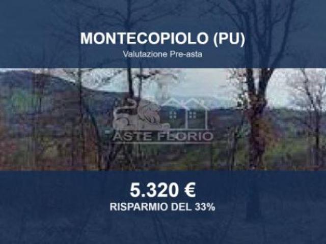Immobile in asta di 26446 m in vendita a Montecopiolo