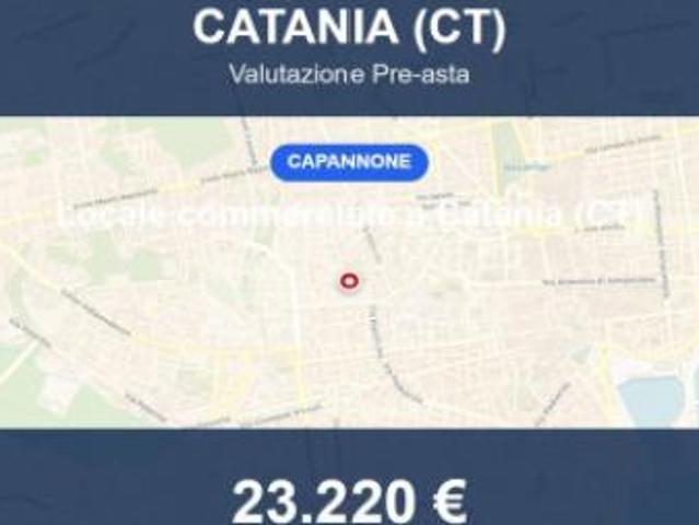 Immobile in asta di 264 m in vendita a Catania