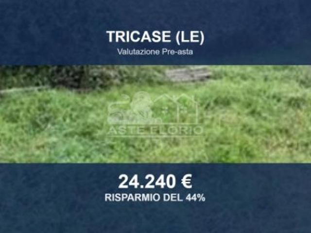 Immobile in asta di 26508 m in vendita a Tricase