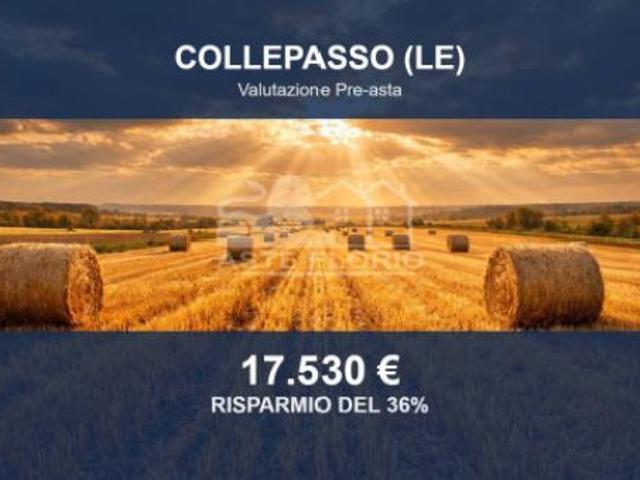 Immobile in asta di 26550 m in vendita a Collepasso