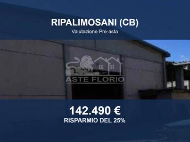 Immobile in asta di 26700 m in vendita a Ripalimosani