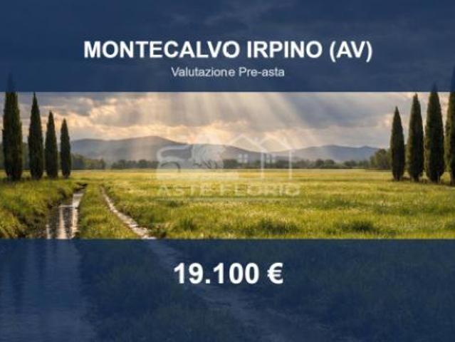 Immobile in asta di 27000 m in vendita a Montecalvo Irpino