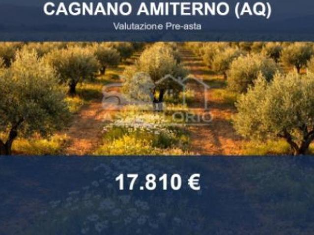 Immobile in asta di 2710 m in vendita a Cagnano Amiterno