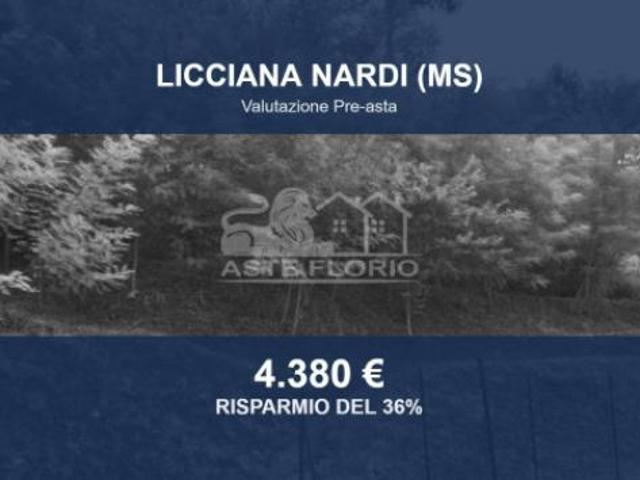 Immobile in asta di 2755 m in vendita a Licciana Nardi