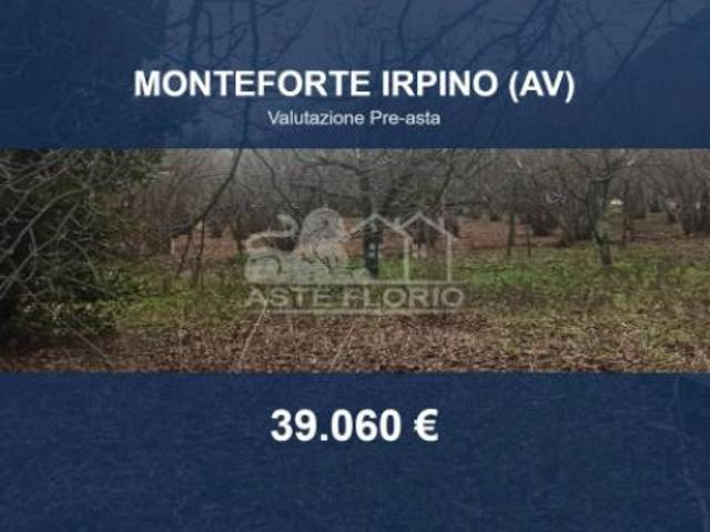 Immobile in asta di 2760 m in vendita a Monteforte Irpino