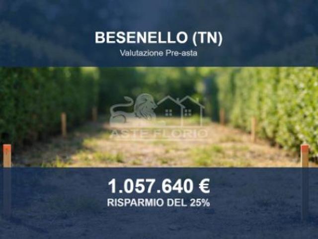 Immobile in asta di 2765 m in vendita a Besenello