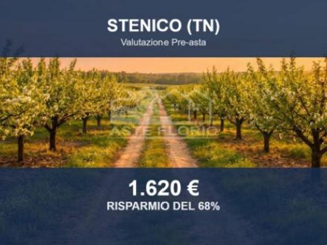 Immobile in asta di 2778 m in vendita a Stenico