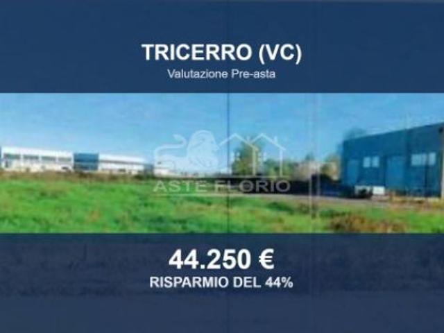 Immobile in asta di 2810 m in vendita a Tricerro