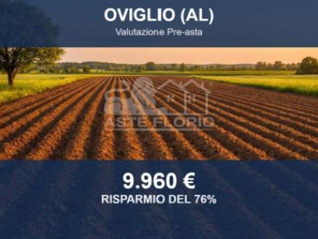 Immobile in asta di 2816 m in vendita a Oviglio