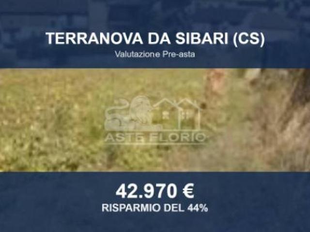 Immobile in asta di 2831 m in vendita a Terranova da Sibari