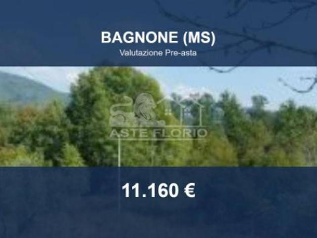 Immobile in asta di 28334 m in vendita a Villafranca in Lunigiana