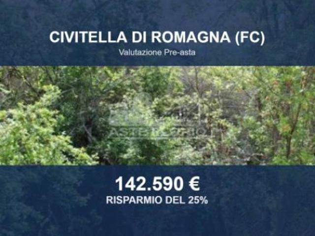 Immobile in asta di 285843 m con più di 5 locali in vendita a Civitella di Romagna